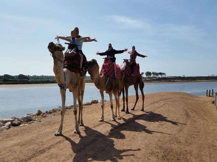 messaoudtours