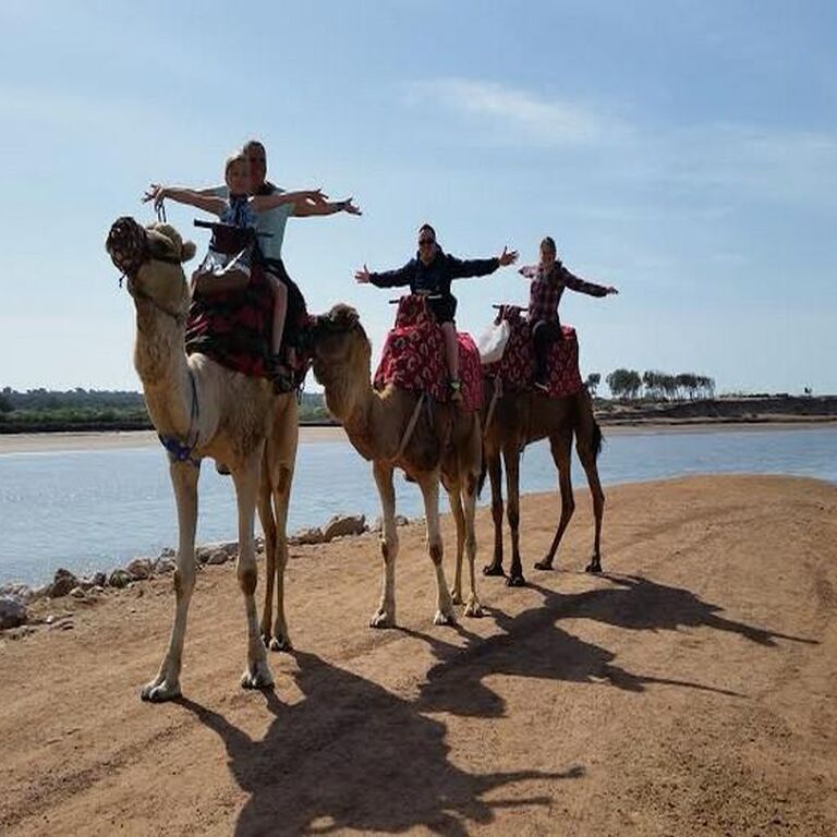 messaoudtours