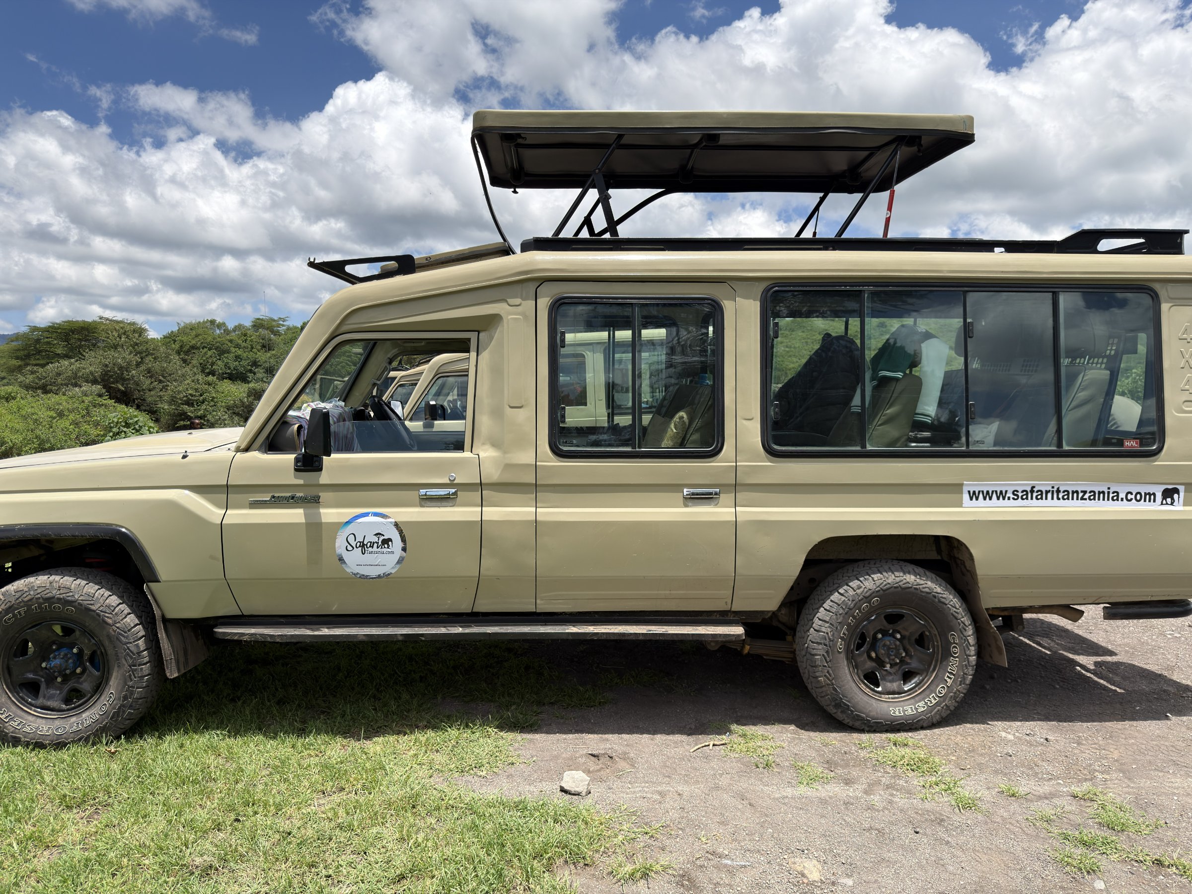 Safari Tanzania