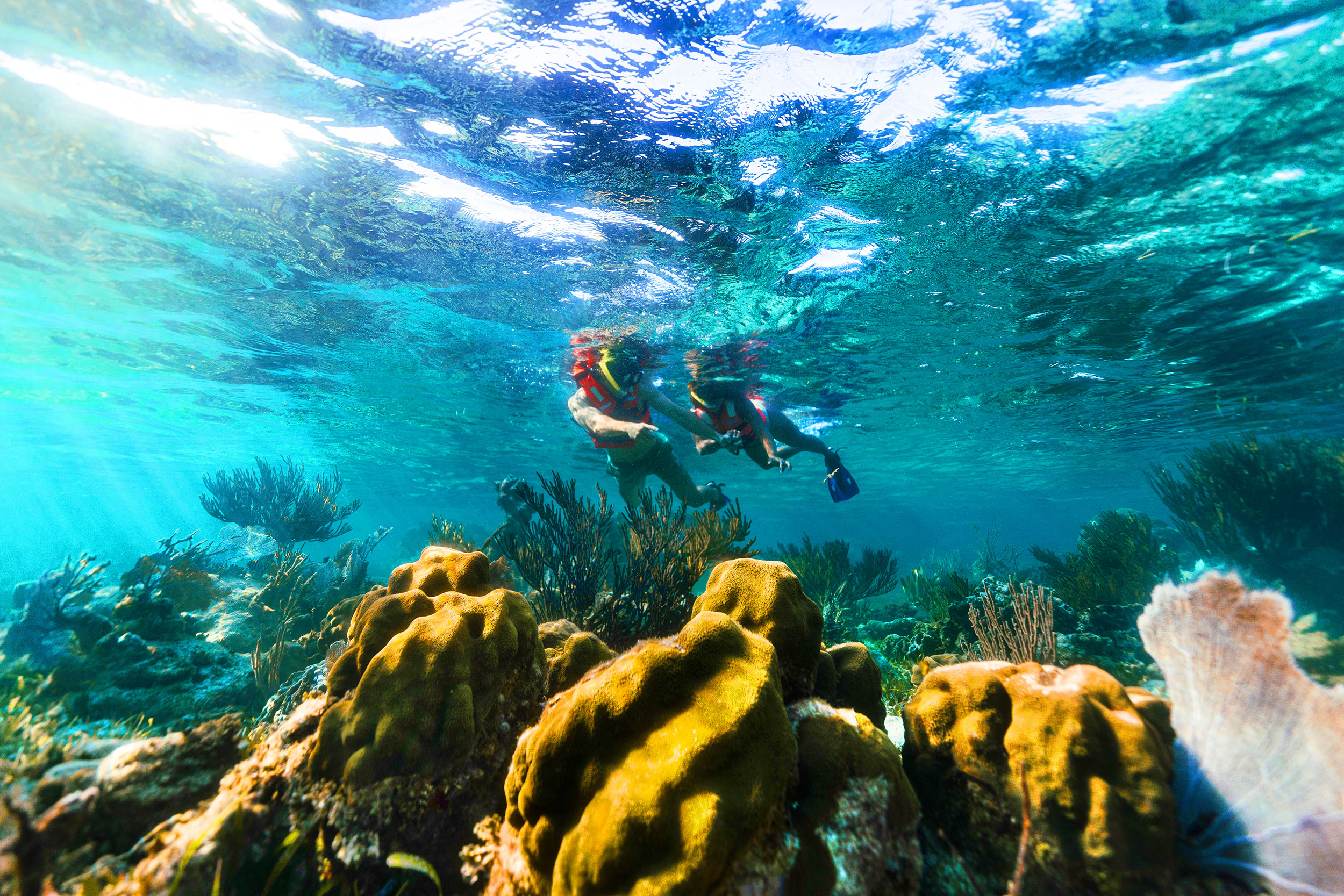 Extreme Adventuring Cancun