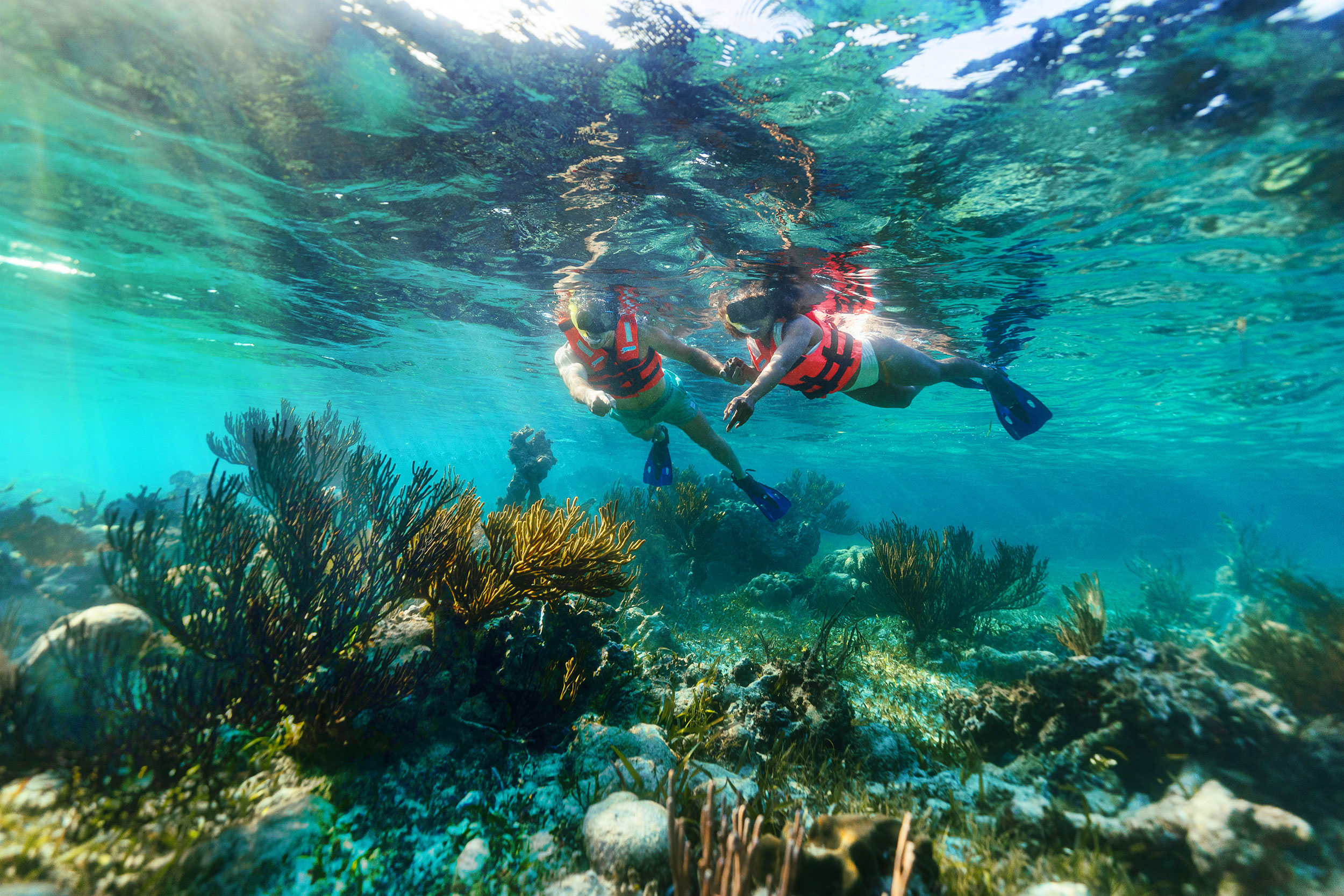Extreme Adventuring Cancun