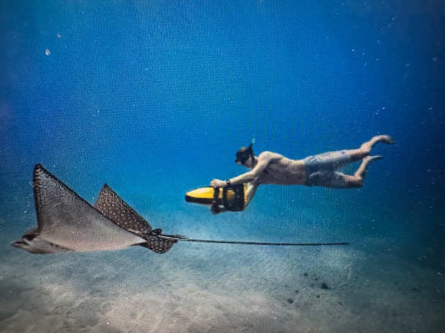 Eco Tours Maui LLC dba Eco Sea Scooters Snorkeling Academy