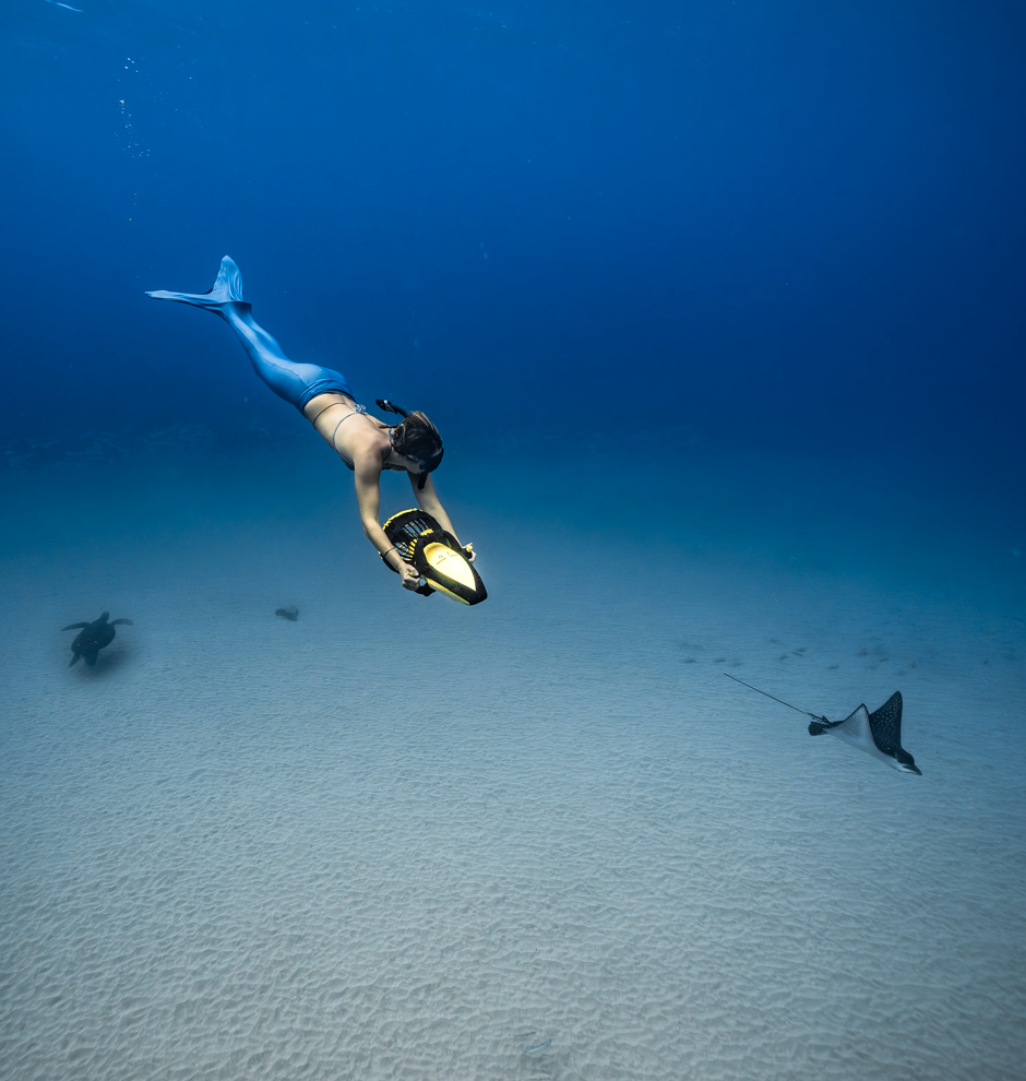 Eco Tours Maui LLC dba Eco Sea Scooters Snorkeling Academy