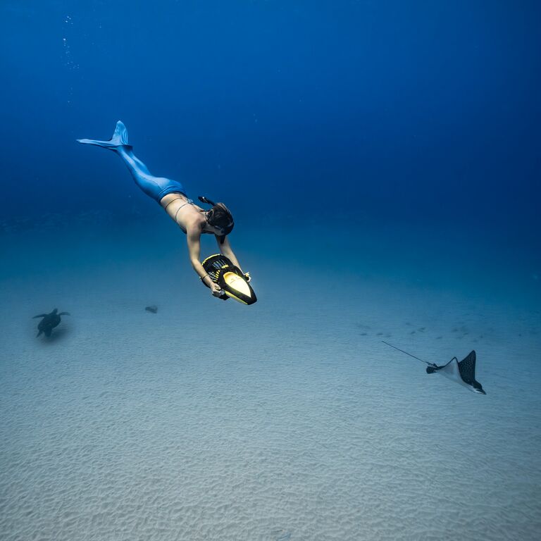 Eco Tours Maui LLC dba Eco Sea Scooters Snorkeling Academy