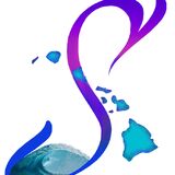 Eco Tours Maui LLC dba Eco Sea Scooters Snorkeling Academy