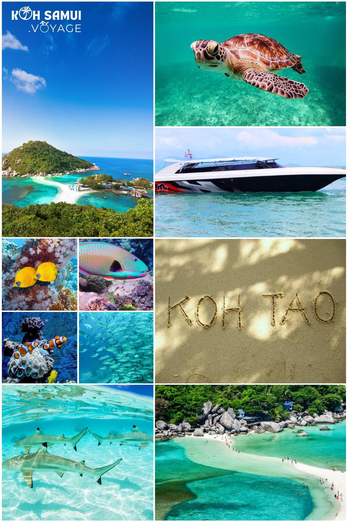 KOH SAMUI VOYAGE
