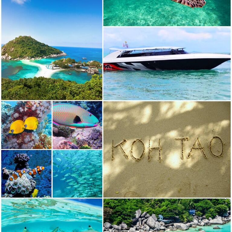 KOH SAMUI VOYAGE