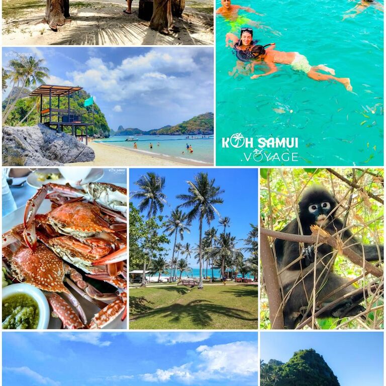 KOH SAMUI VOYAGE