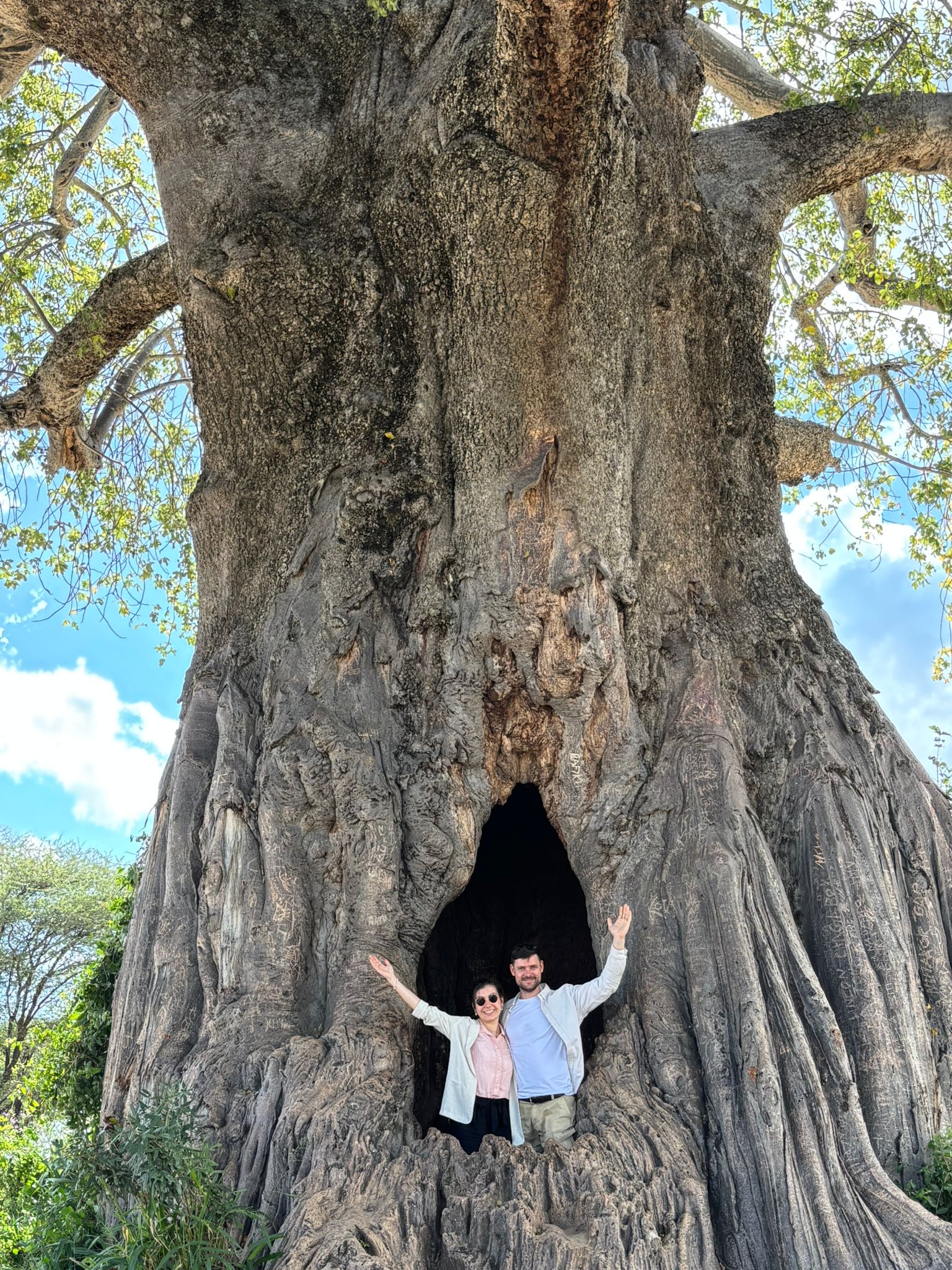 Natured safaris and vacations