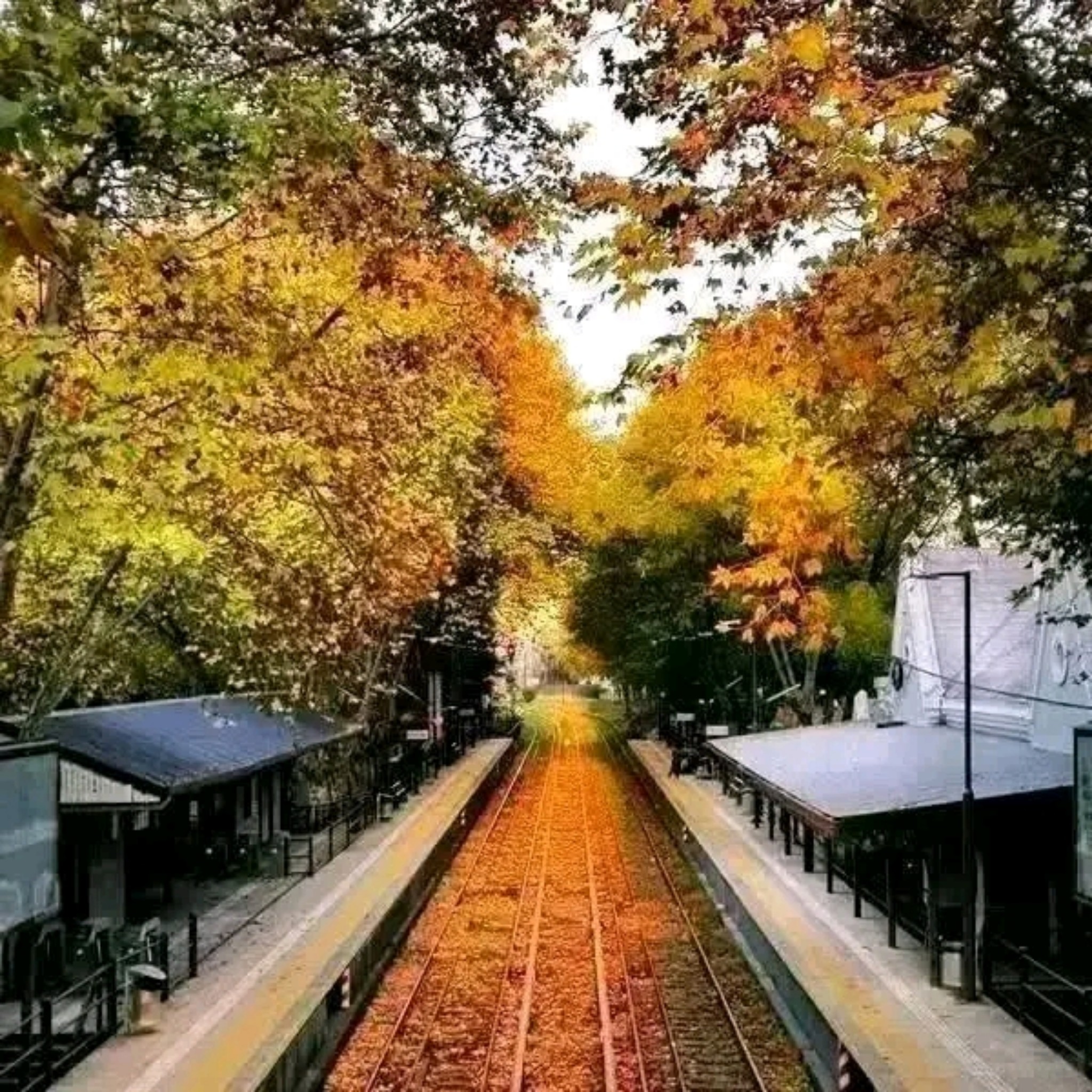 pic