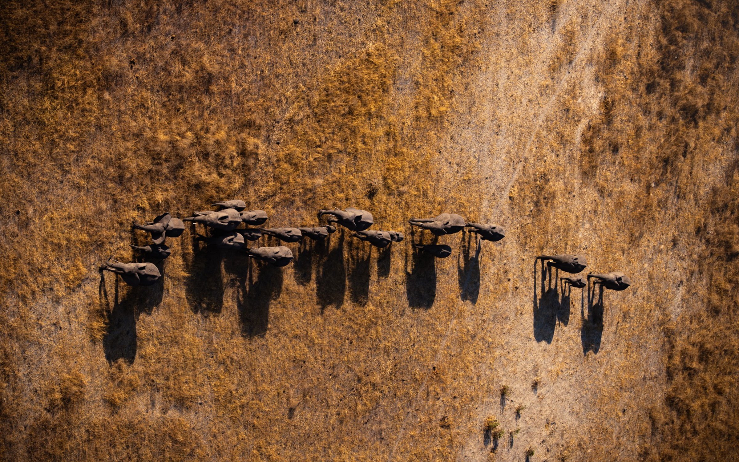 Territory Explorers