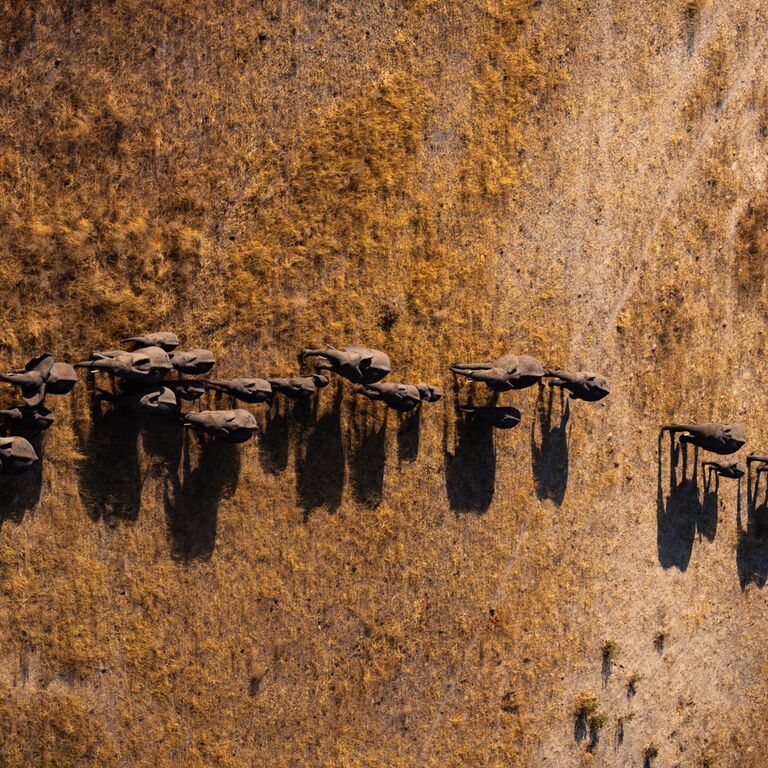 Territory Explorers