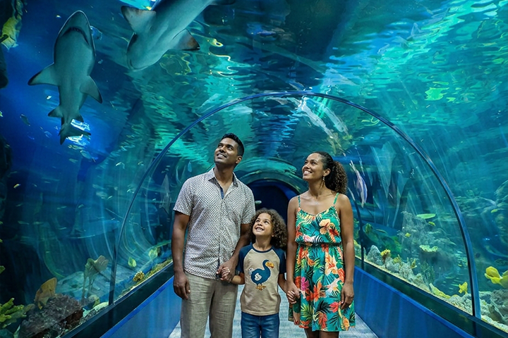 Odysseo oceanarium Mauritius