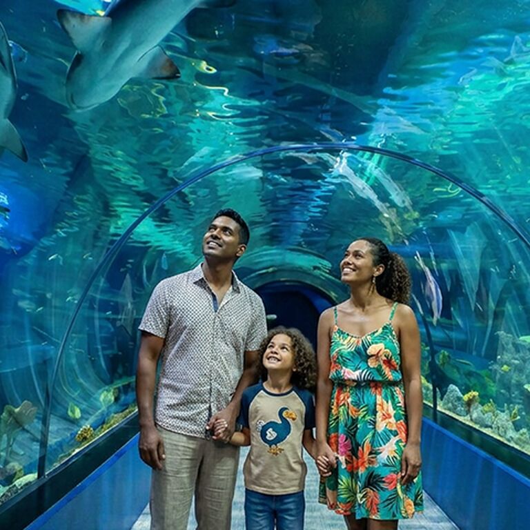 Odysseo oceanarium Mauritius