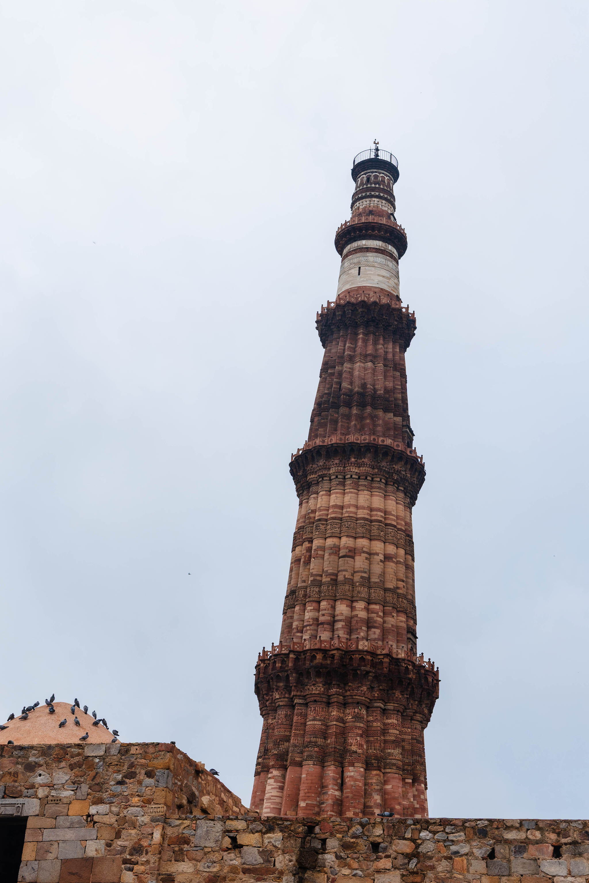 Tour My India Pvt Ltd
