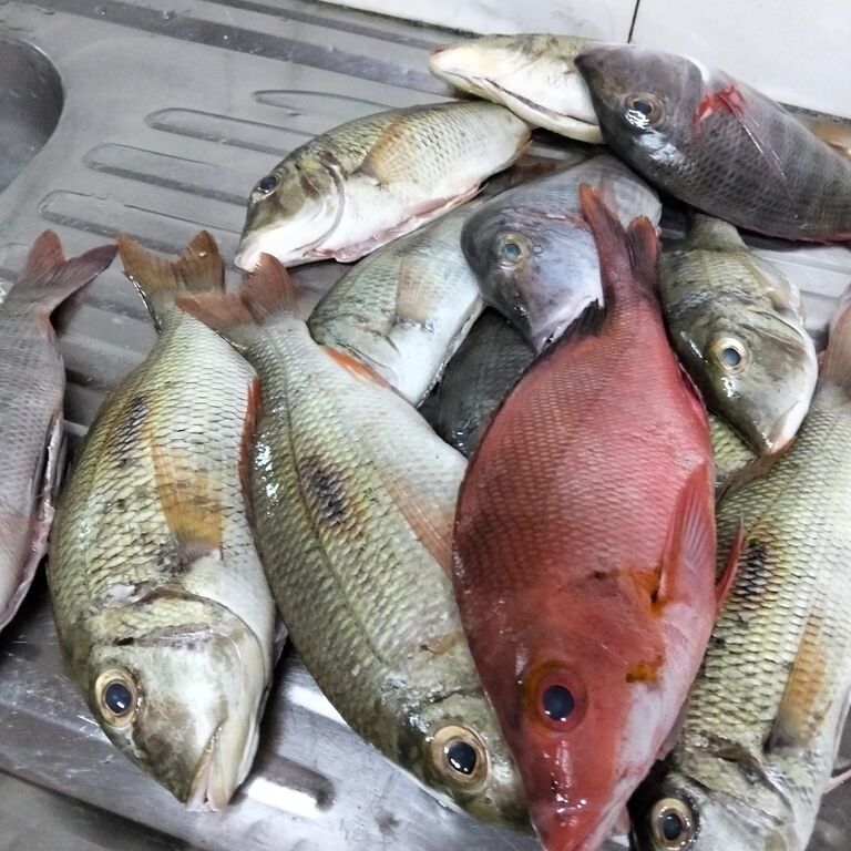 Ella's seafood kitchen