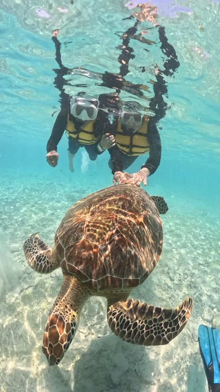 pic