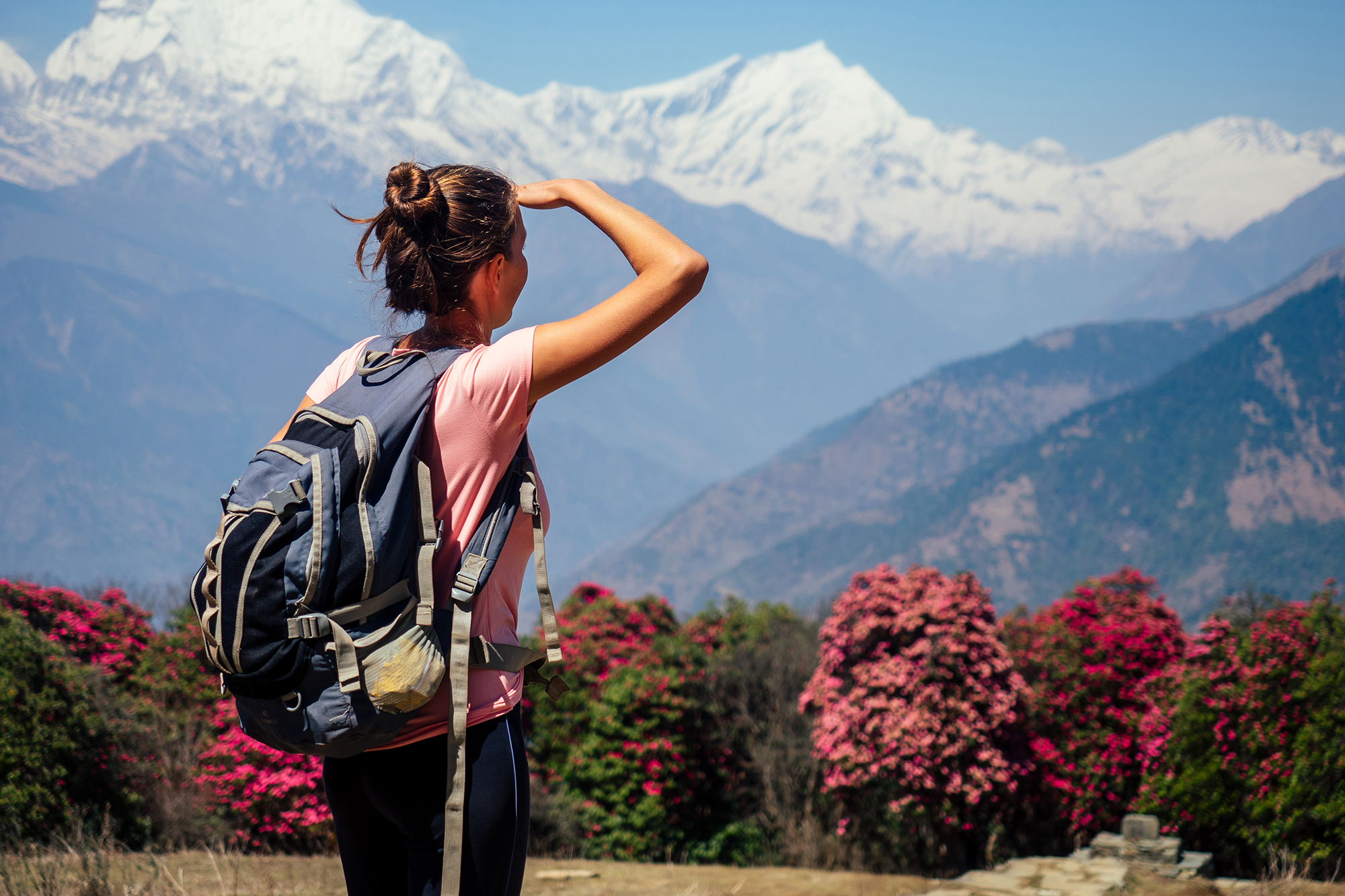Awesome Holidays Nepal Pvt.Ltd