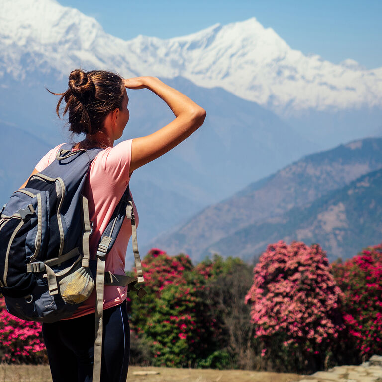 Awesome Holidays Nepal Pvt.Ltd