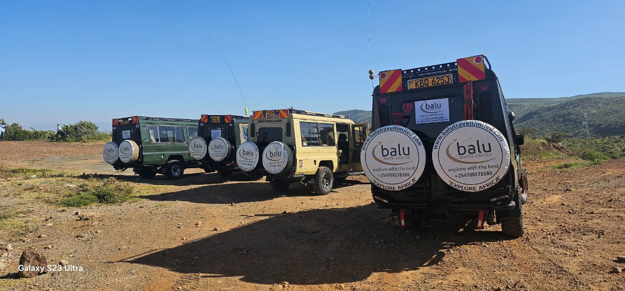 BALU TRAVEL LTD