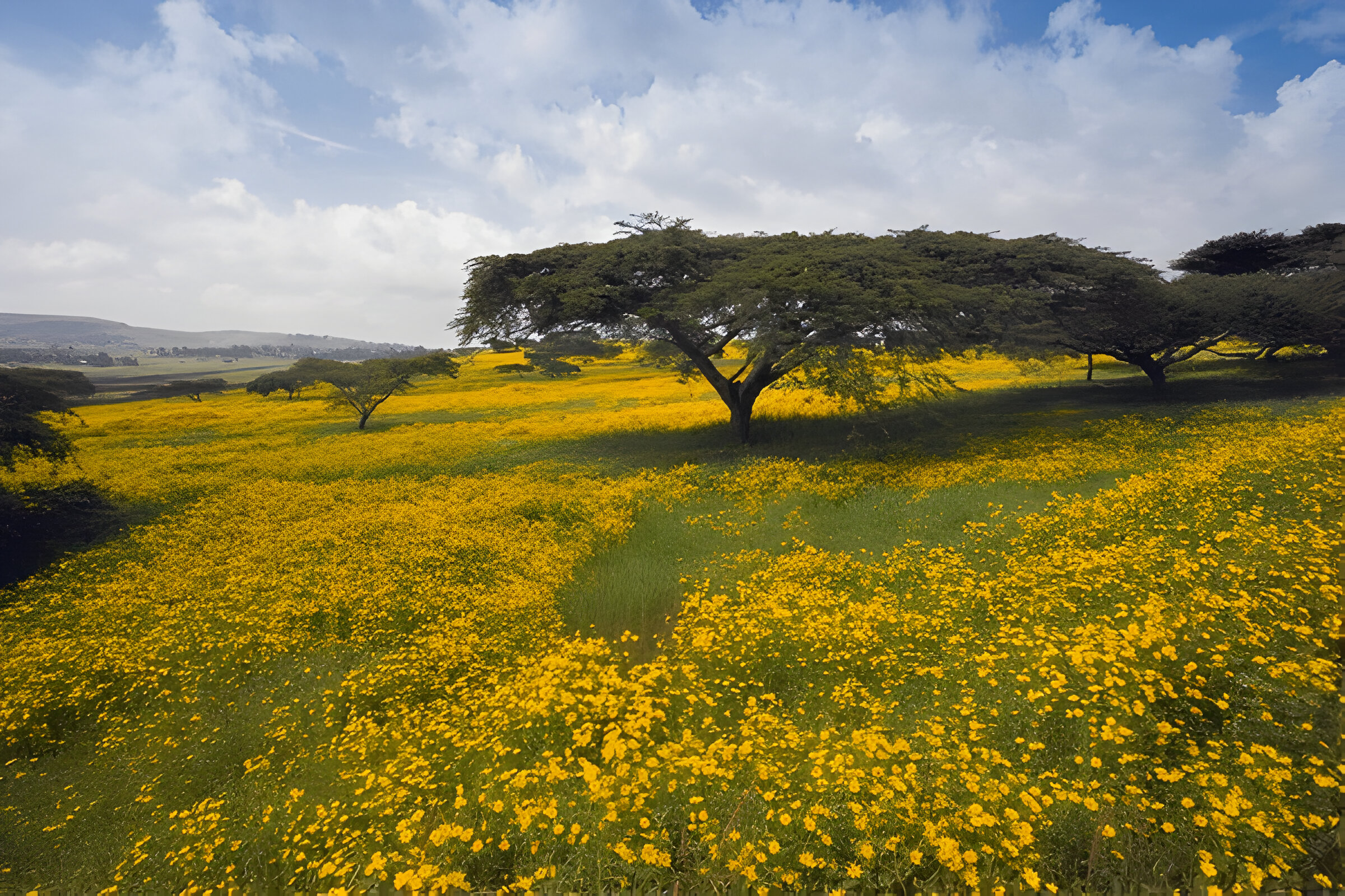 Explore Ethiopia Tour & Travel