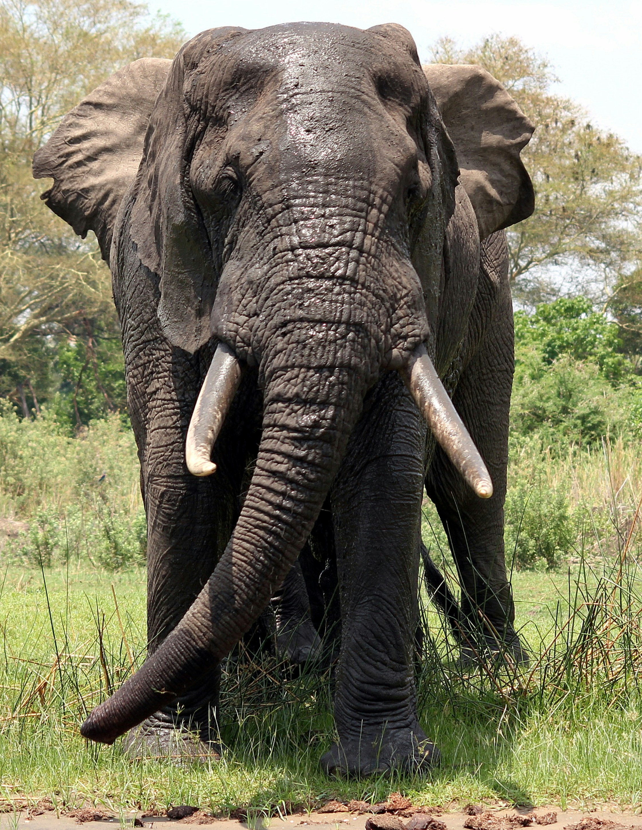 Central Adventure Safaris