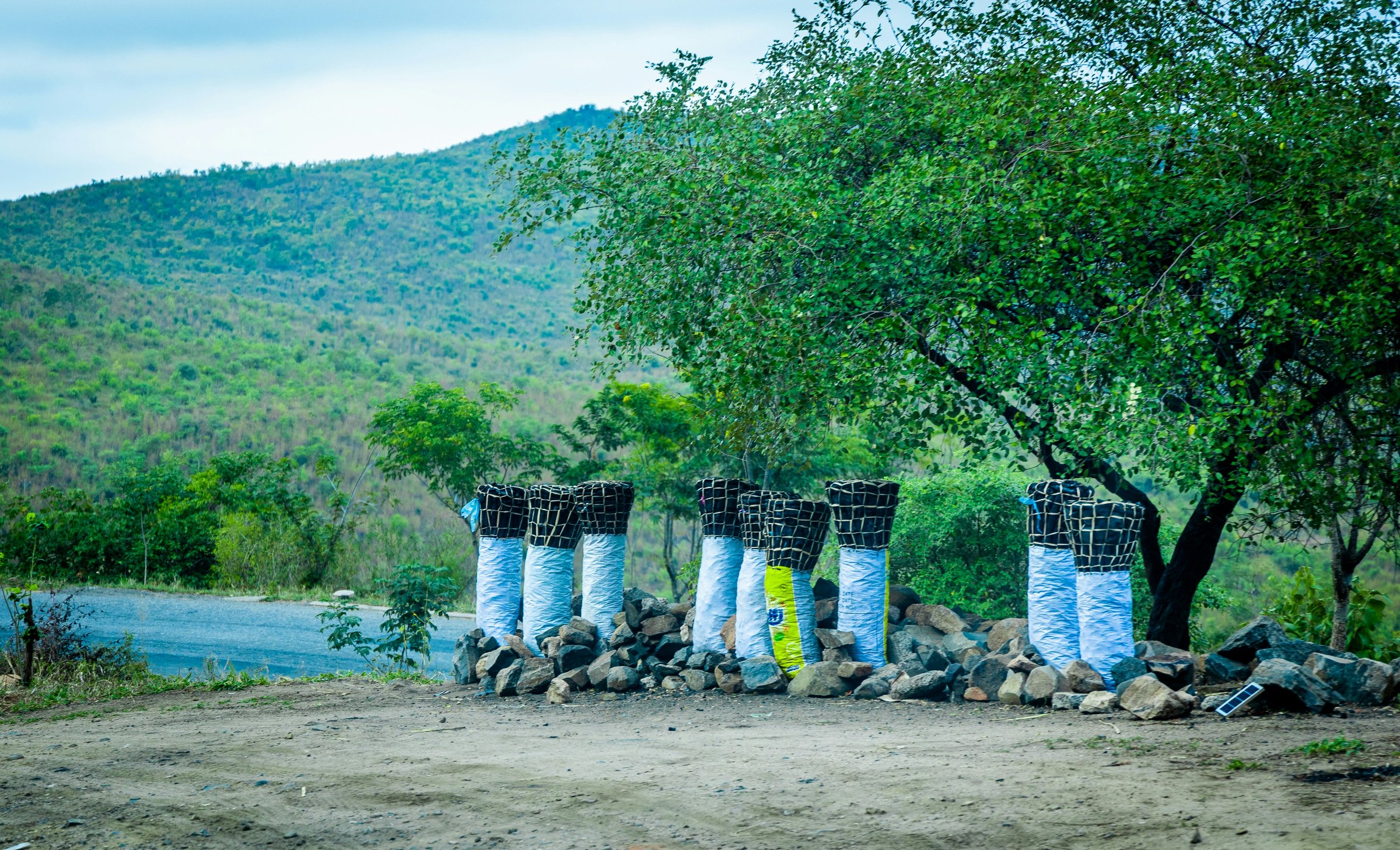 Central Adventure Safaris