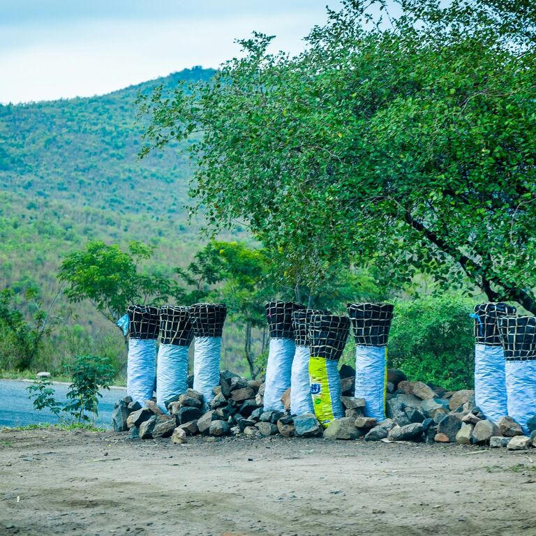 Central Adventure Safaris