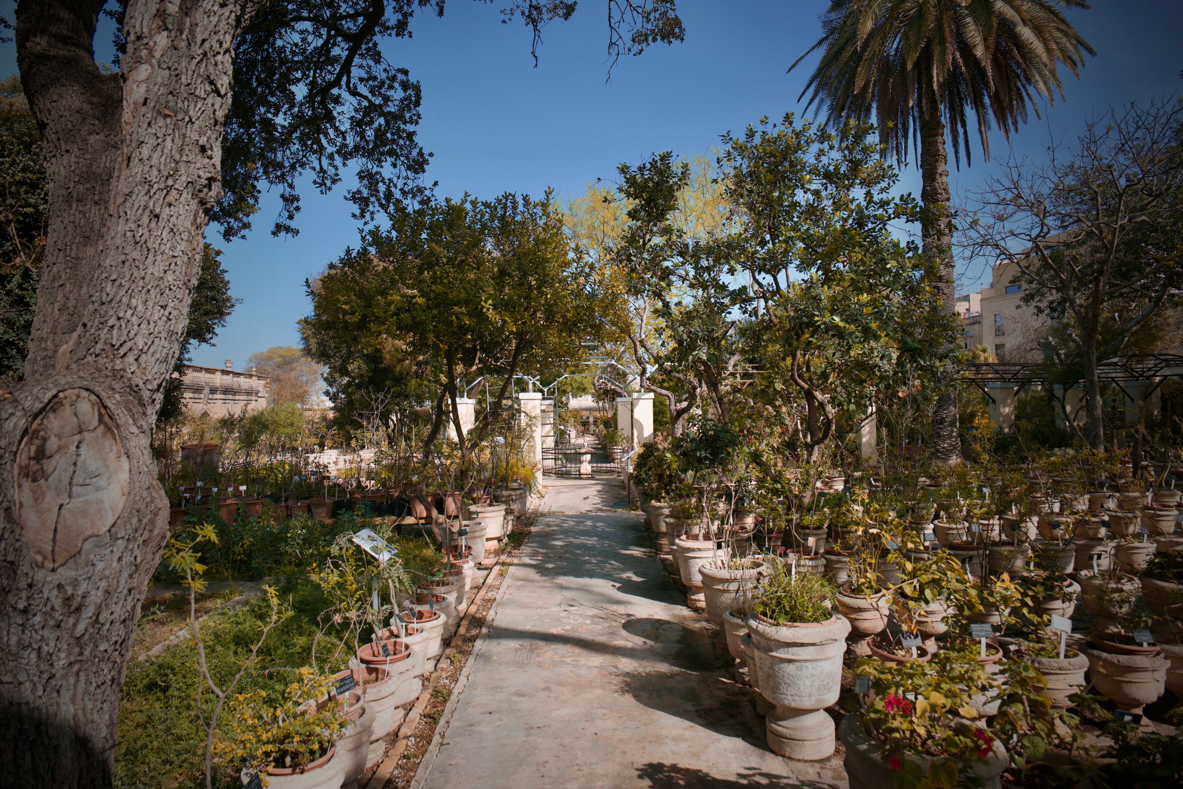 Argotti Botanic Gardens