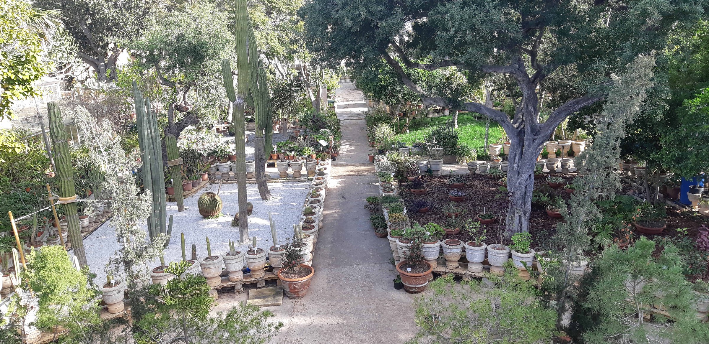 Argotti Botanic Gardens