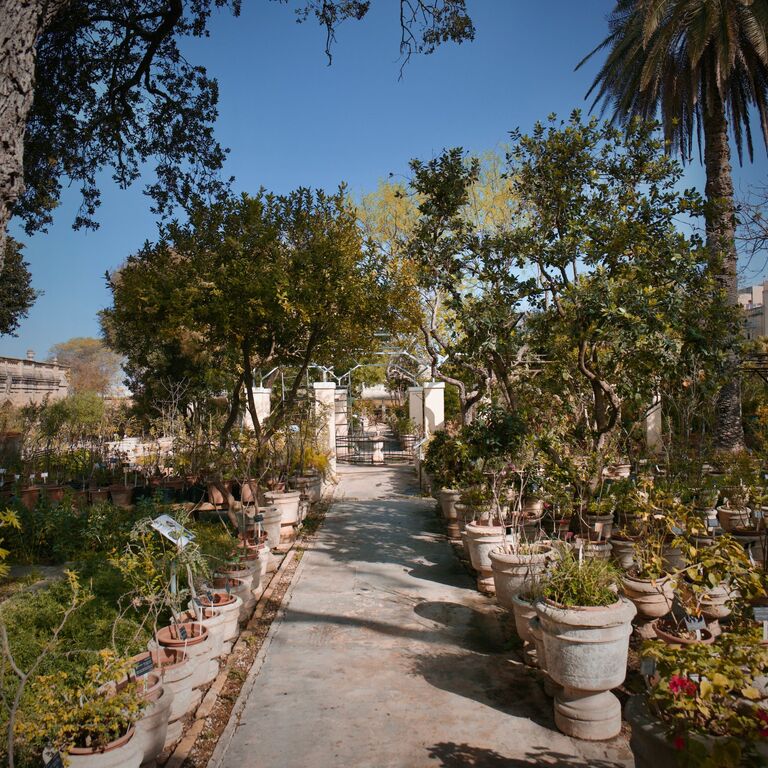 Argotti Botanic Gardens