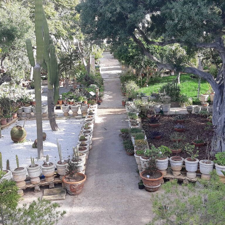 Argotti Botanic Gardens