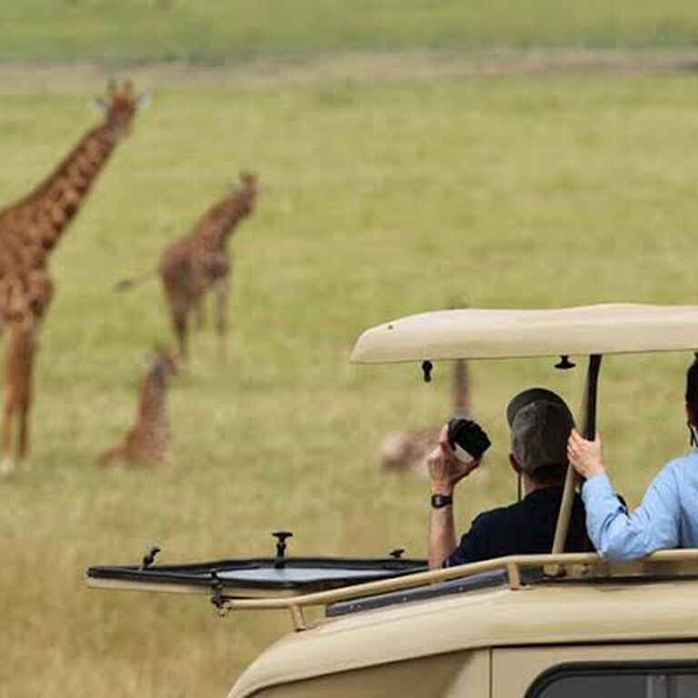 Rent A Driver Rwanda