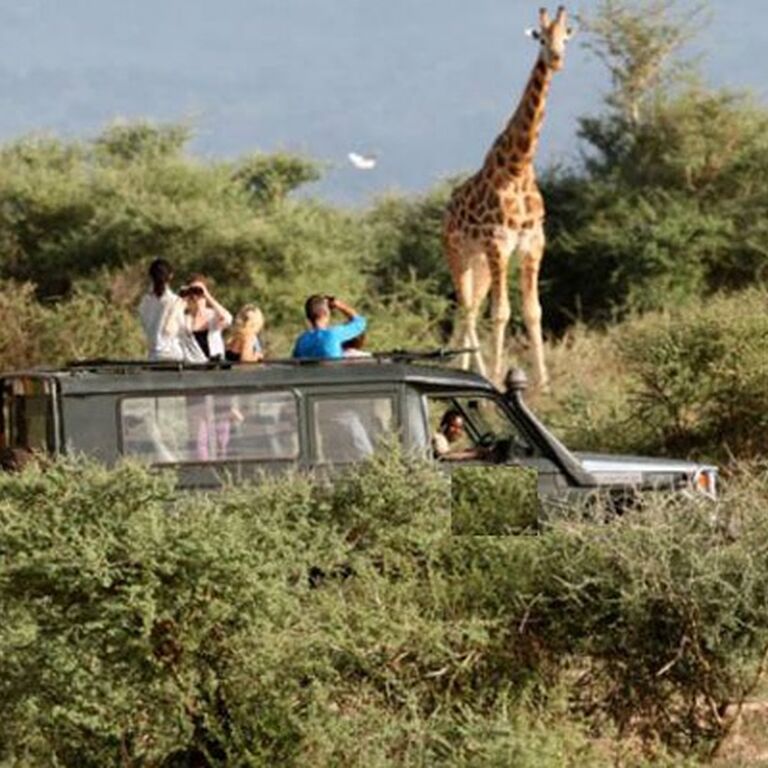 Rent A Driver Rwanda