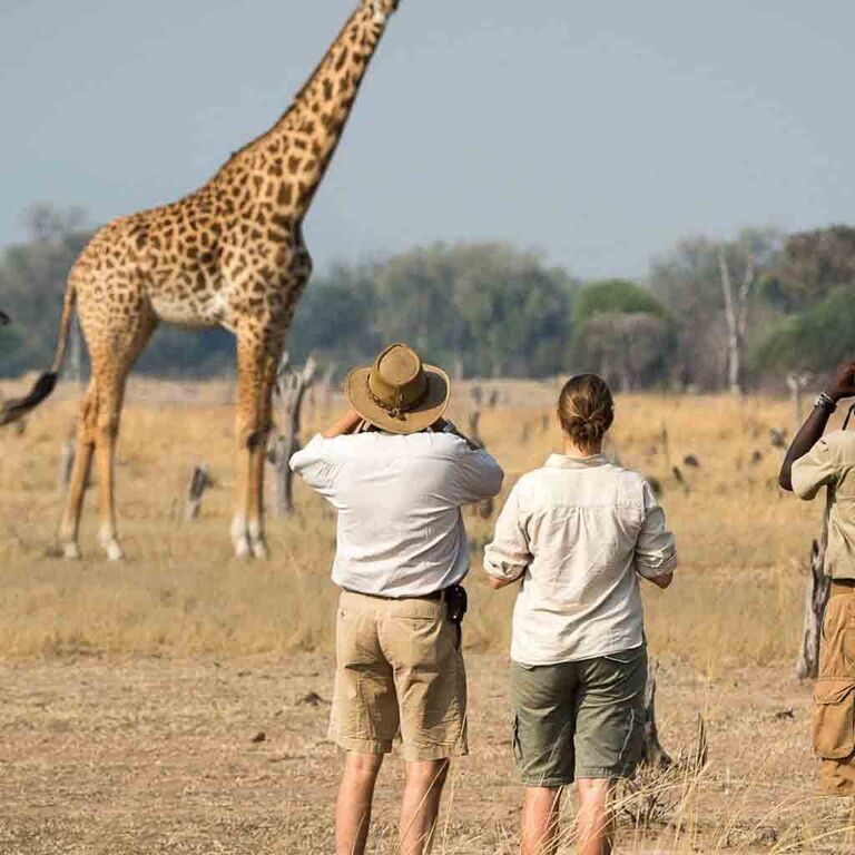 African Finfoot Safaris