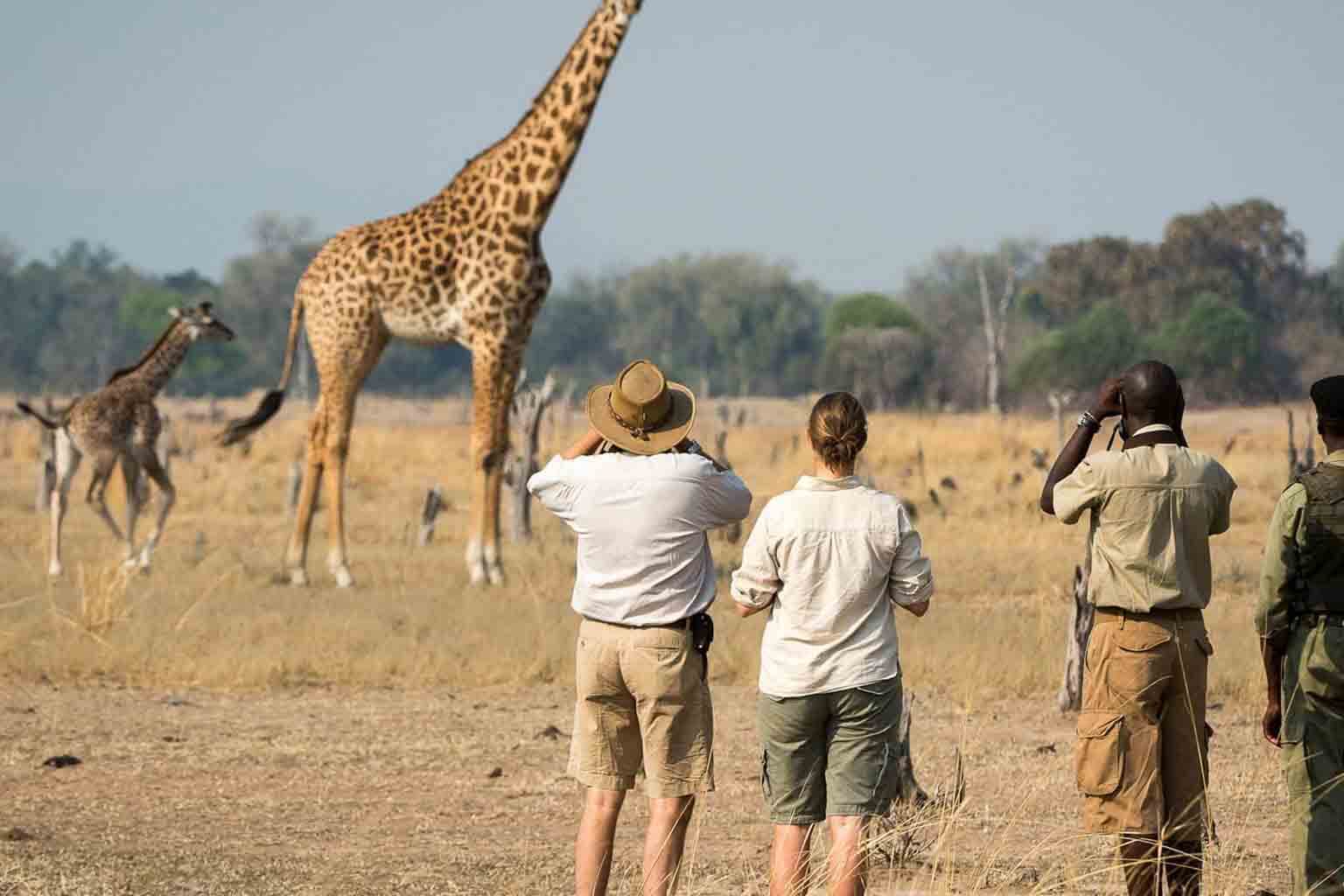 African Finfoot Safaris