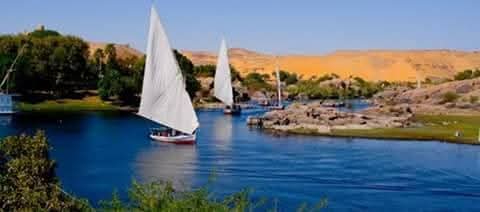 Walid