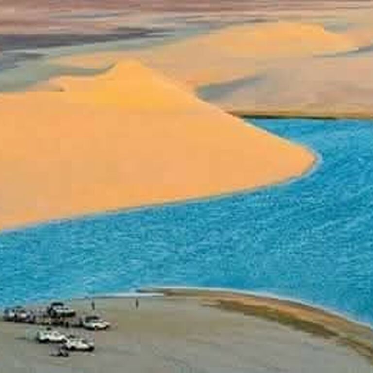 Walid