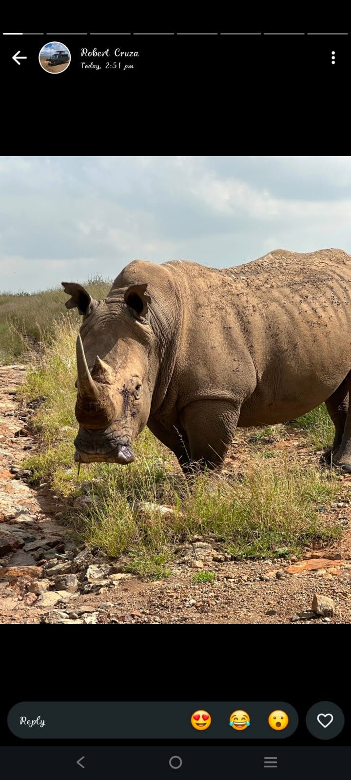 REET Africa Safaris & expe