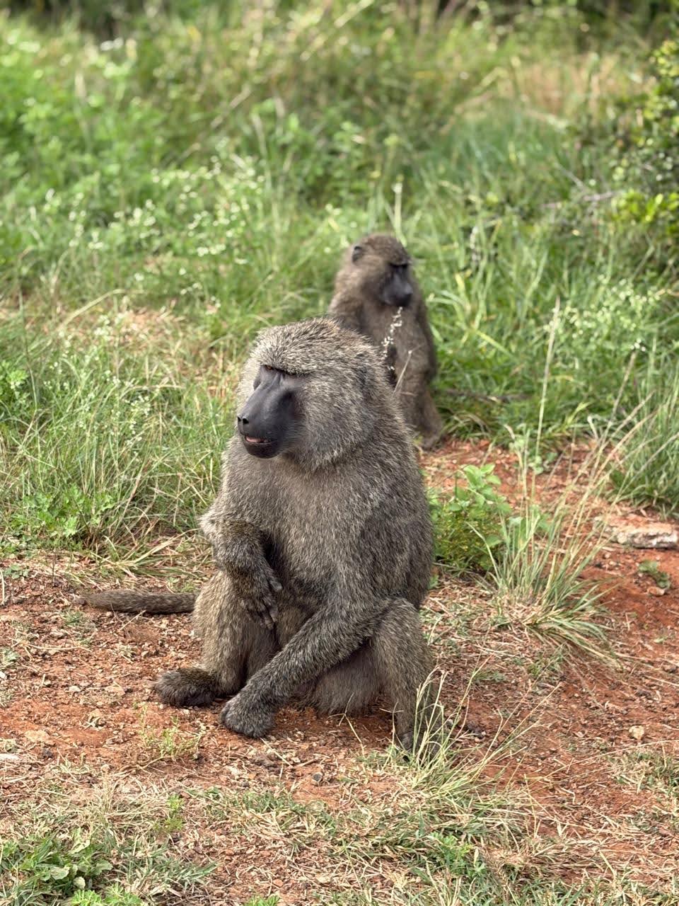 REET Africa Safaris & expe