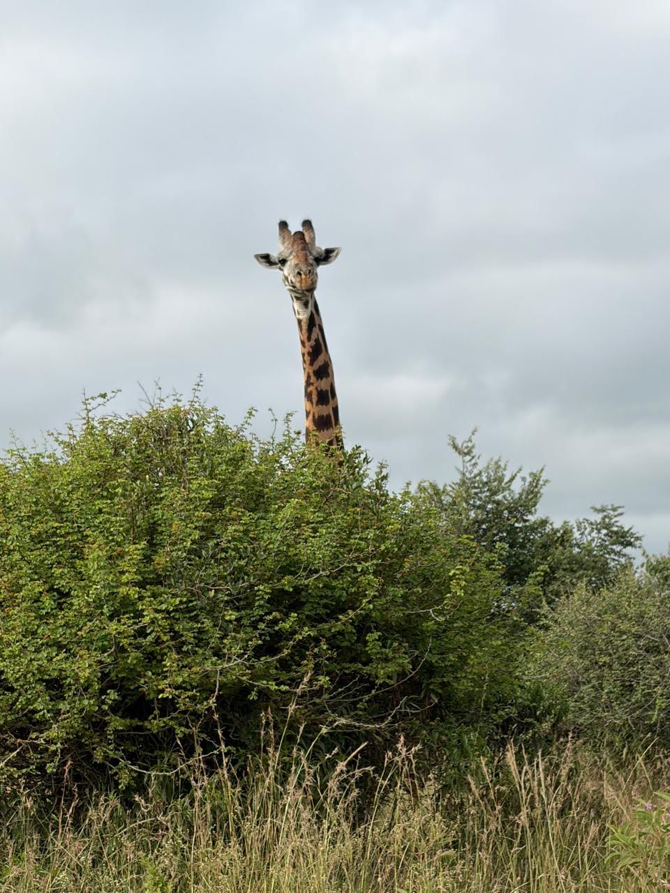REET Africa Safaris & expe