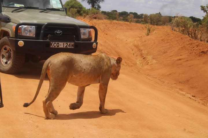 Ulimwengu Tours (SMC) Ltd