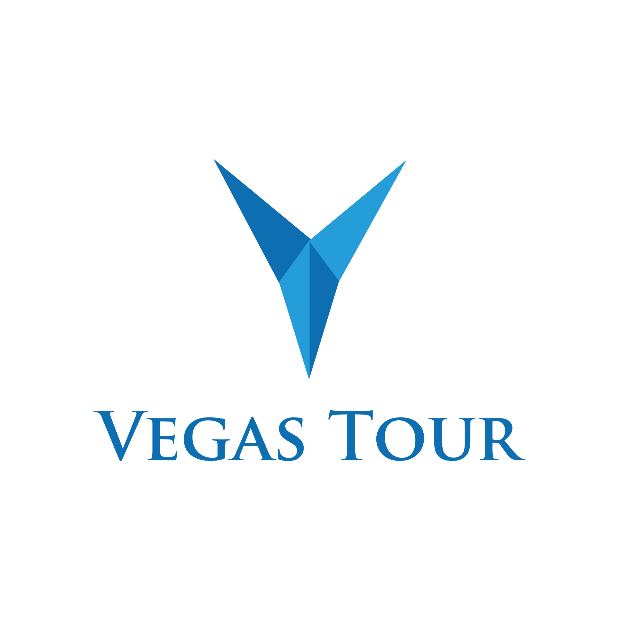Vegas Tour LLC