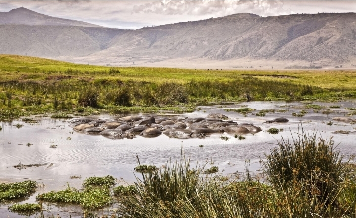 Avalia Adventure Tanzania