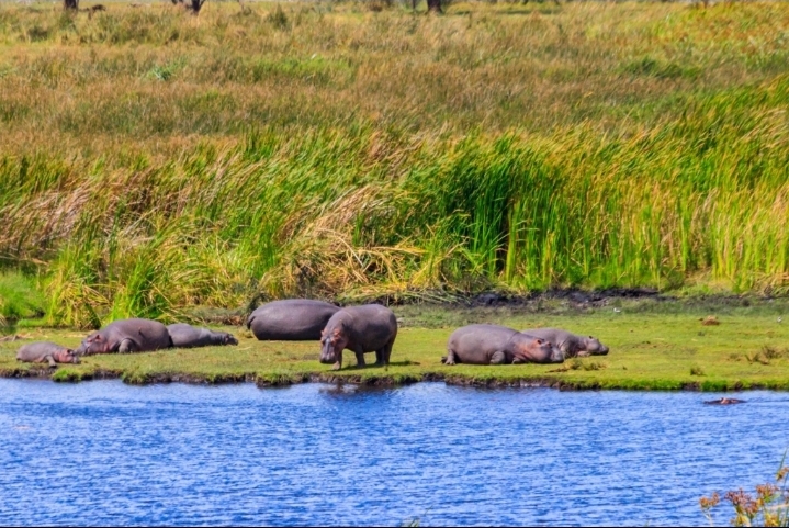 Avalia Adventure Tanzania