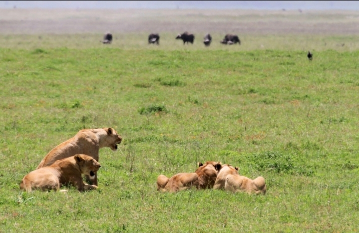 Avalia Adventure Tanzania