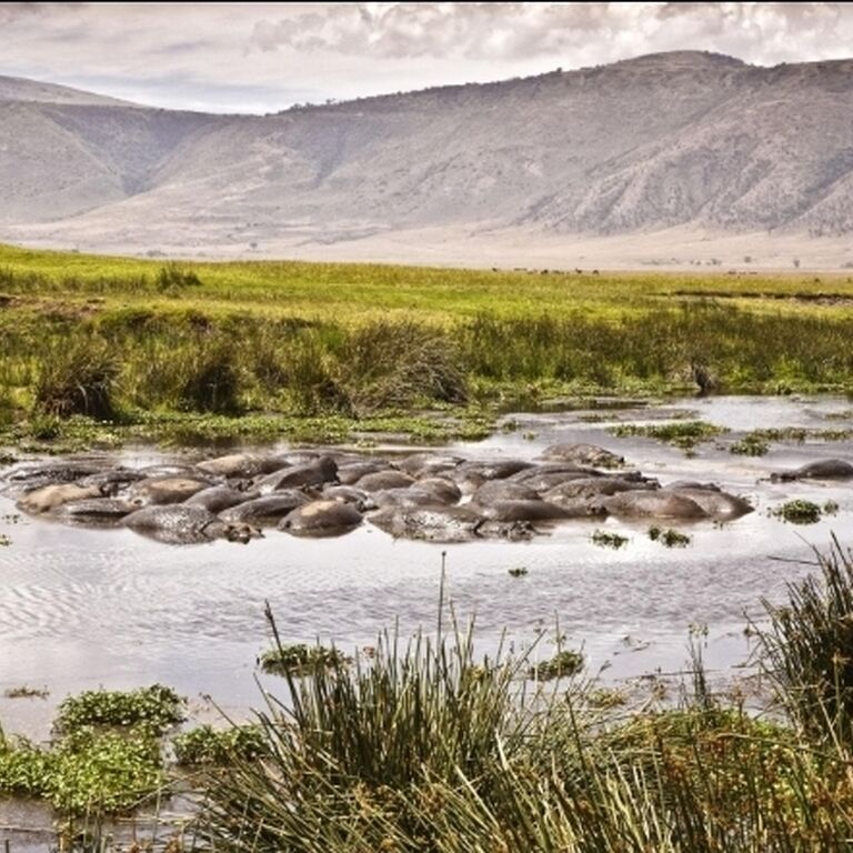 Avalia Adventure Tanzania