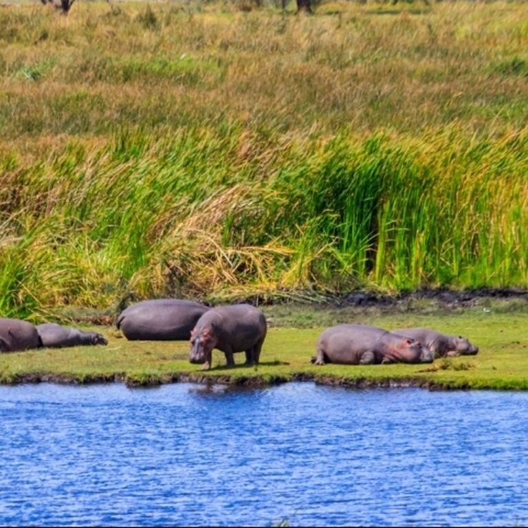Avalia Adventure Tanzania