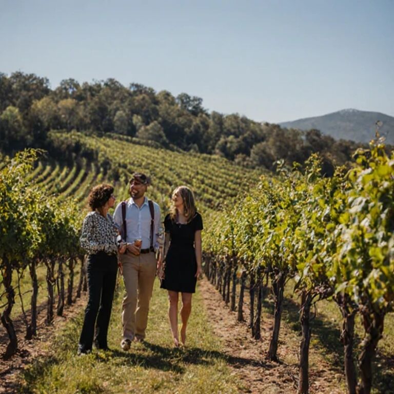 Artisan Excursion Wine Tours