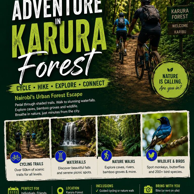Oark safaris and adventures of